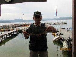 一文字前イカダ2号でチヌ50cm！