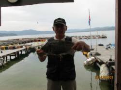 一文字前イカダ2号でチヌ50cm！