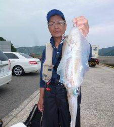 神谷沖一文字の夜通し釣りでアオリイカ