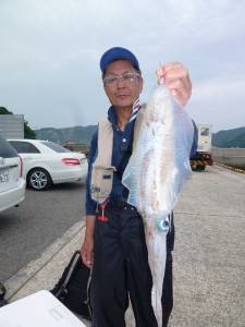 神谷沖一文字の夜通し釣りでアオリイカ