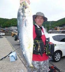 神谷沖一文字のショアゲームでシイラ70cm