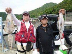 神谷一文字のアオリイカ〜ヤエン釣りの釣果