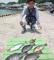 神谷一文字　カゴ釣りでグレ・イサギ・ゴマサバ