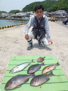 神谷一文字　カゴ釣りでグレ・イサギ・ゴマサ…