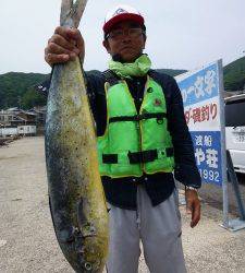 ヒラバエにてシイラ80cm〜ペンシルでヒットしました