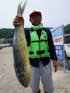 ヒラバエにてシイラ80cm〜ペンシルでヒッ…