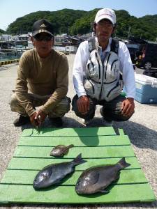 沖一文字内向き　紀州釣りでグレ44cm&a…