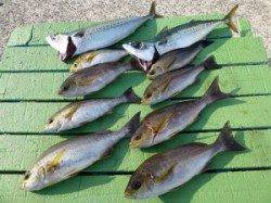 沖一文字外向きで良型マダイをキャッチ！