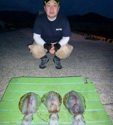 神谷崎半夜釣り〜ヤエンでアオリイカの釣果