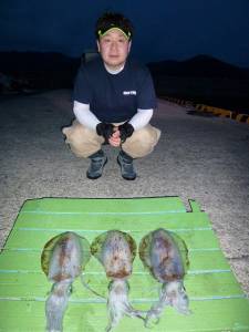 神谷崎半夜釣り〜ヤエンでアオリイカの釣果