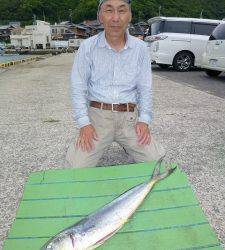 沖一文字内向きにてのませ釣りでシイラ80cm