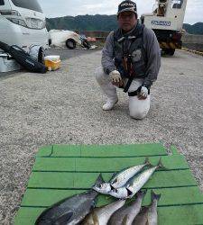 沖一文字外向きのカゴ釣り釣果〜イサギ・グレ・ゴマサバ