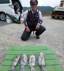 神谷崎でのヤエンでアオリイカ4ハイ