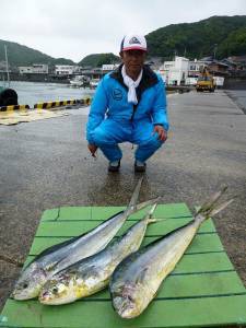 雨の沖一文字、ペンシルやポッパーでシイラG…