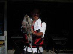 カブト磯にてヤエンでのアオリイカ釣果あり