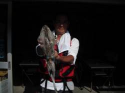 カブト磯にてヤエンでのアオリイカ釣果あり