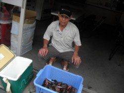 ムシクイ磯の穴釣り〜ガシラ45匹☆