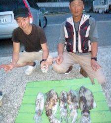 神谷一文字とケムリ島　ヤエンでのアオリイカ釣果