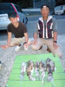 神谷一文字とケムリ島　ヤエンでのアオリイカ釣果