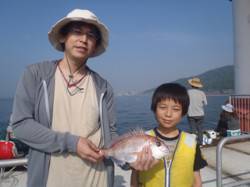 須磨海釣り公園　カゴ天秤でマダイ37cm