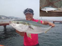 須磨海づり公園 のませ釣りでブリ98.7c…