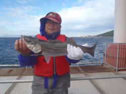 須磨海づり公園　ウキ流しでハネ57cmをキ…