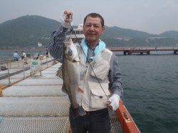 須磨海づり公園　シラサのウキ流し釣りでスズキサイズ