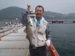 須磨海づり公園　シラサのウキ流し釣りでスズ…