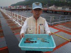須磨海づり公園　投げ釣りでガシラ・ベラ・アイナメ