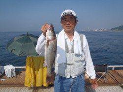 須磨海づり公園　ウキ流し釣りでナイスサイズのハネ