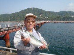 須磨海づり公園で大サバ43cmをキャッチ！