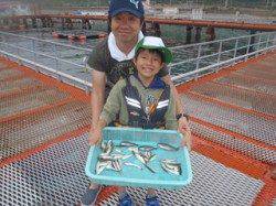 須磨海づり公園　サビキで豆アジ釣れています♪