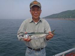 須磨海づり公園　カゴ天秤仕掛けでサバ42c…