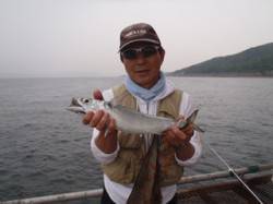 ウキサビキで大サバの釣果　須磨海づり公園