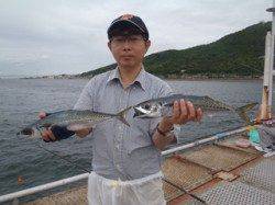 須磨海づり公園　連日大サバが釣れています