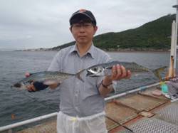 須磨海づり公園　連日大サバが釣れています