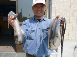 湯浅の磯 ヤエンでのアオリイカ釣果