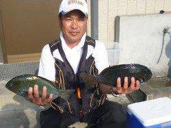 湯浅の磯のフカセでグレ25～37cm4尾