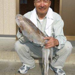 湯浅の磯のアオリイカ〜ヤエンとエギングでの釣果