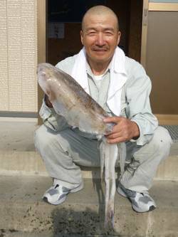 湯浅の磯のアオリイカ〜ヤエンとエギングでの…
