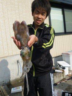 湯浅の磯のアオリイカ〜ヤエンとエギングでの釣果