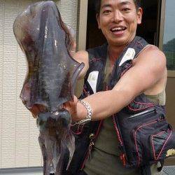 湯浅の磯　ウキ釣りでのアオリイカ