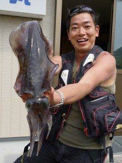 湯浅の磯　ウキ釣りでのアオリイカ