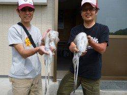エギング、ヤエンでも釣果あり〜湯浅の磯のアオリイカ