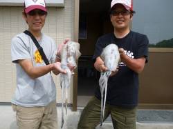 エギング、ヤエンでも釣果あり〜湯浅の磯のア…