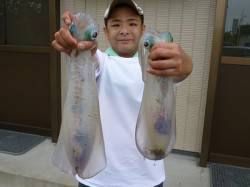 湯浅の磯 ヤエンでのアオリイカ釣果