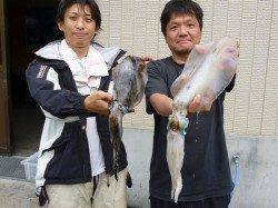 湯浅の磯 ヤエンでのアオリイカ釣果