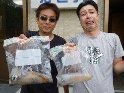 湯浅の磯　ヤエンでアオリイカの釣果