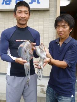 湯浅の磯　ヤエンでアオリイカの釣果