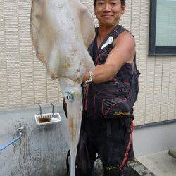 湯浅の磯ウキ釣りで2.45kgの大型アオリイカをゲット！